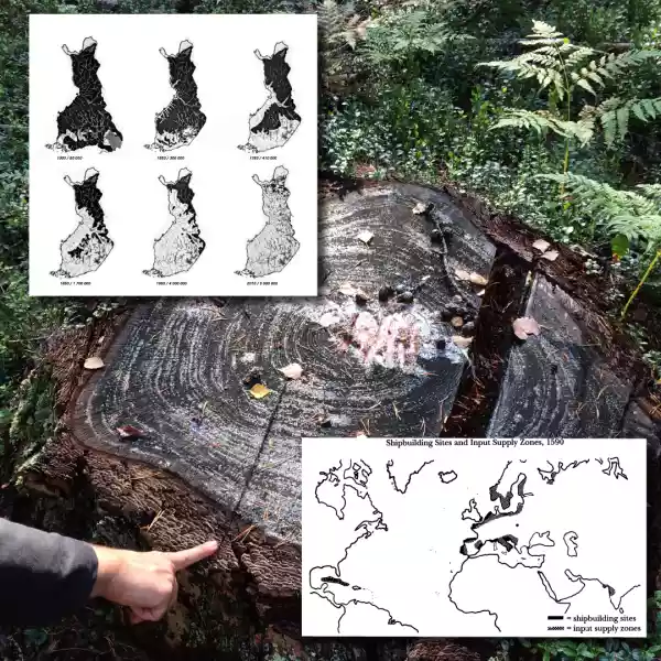 Image of a tree stump overlayed with two charts.