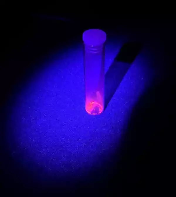 Phosphorescent pigment under UV-A light. The pigment was created from fertiliser (Triple Superphosphate sourced from Phosphate Rock in the Bou Craa mine), doped with Europium, produced with chemist Kurt Lawson and Prof. Sandie Dann at Loughborough University. The project was commissioned by RADAR.