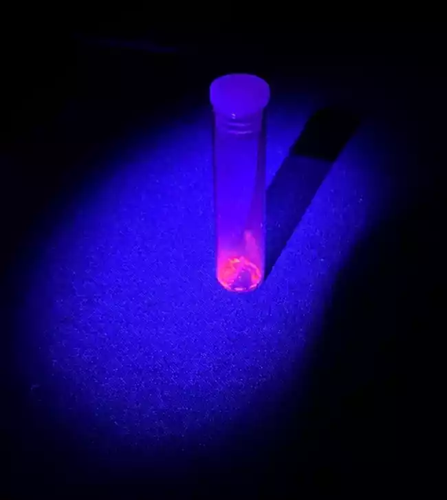 Phosphorescent pigment under UV-A light. The pigment was created from fertiliser (Triple Superphosphate sourced from Phosphate Rock in the Bou Craa mine), doped with Europium, produced with chemist Kurt Lawson and Prof. Sandie Dann at Loughborough University. The project was commissioned by RADAR.