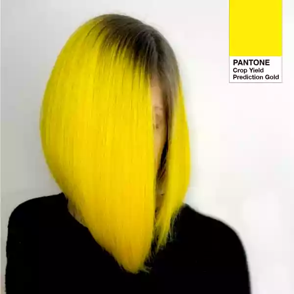 FRAUDtone, a colour following the Pantone model, named Crop Yield Prediction Gold, inspired by the 'Finis terra' project.