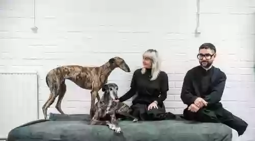 Image of two humans and two dogs sitting in a couch